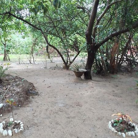 Little Baobab Bed and Breakfast Abémé Exteriör bild