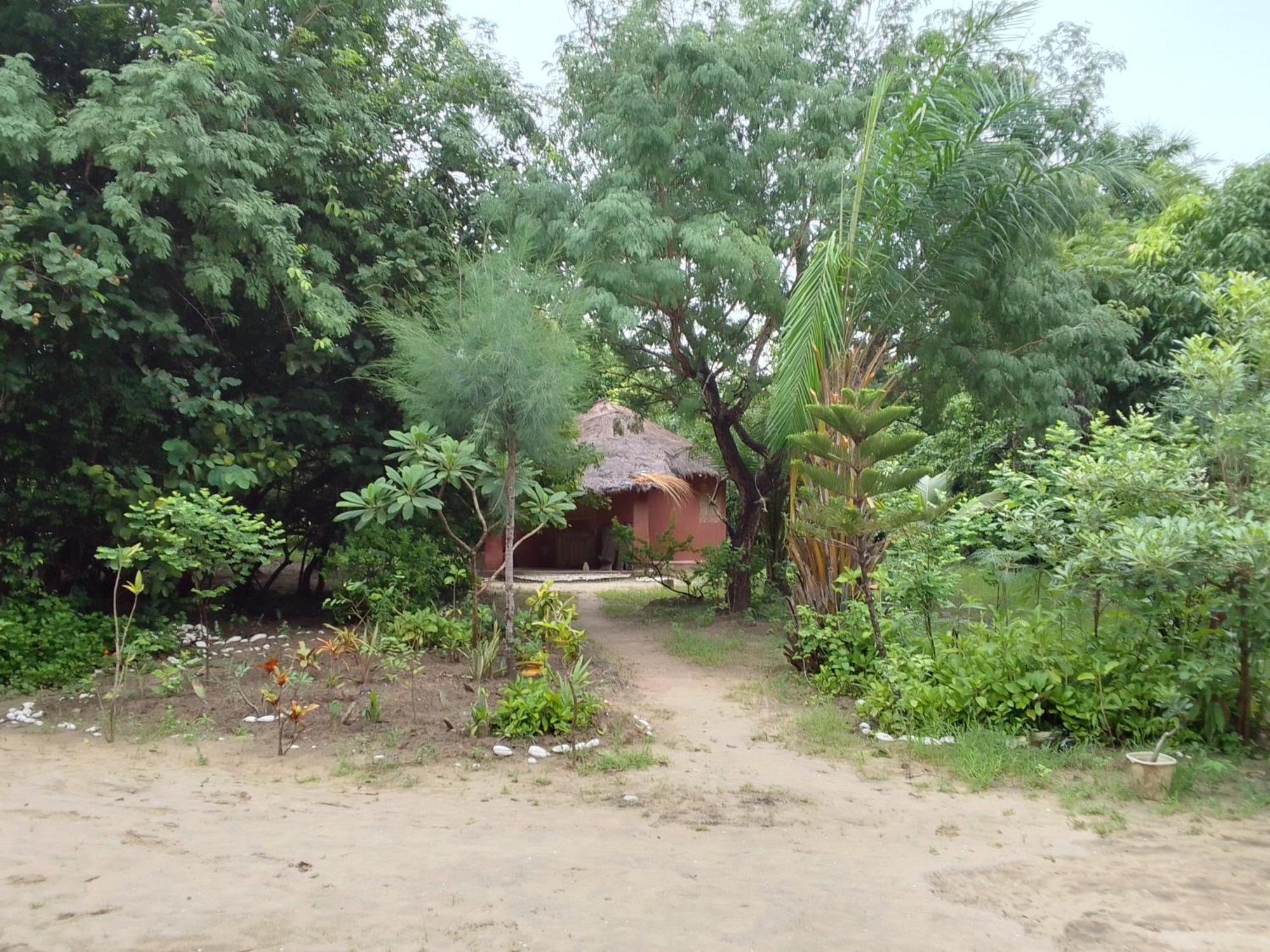 Little Baobab Bed and Breakfast Abémé Exteriör bild